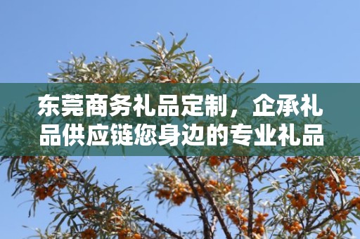 东莞商务礼品定制，企承礼品供应链您身边的专业礼品定制公司