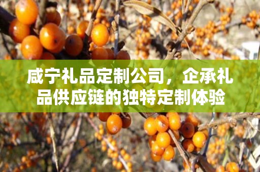 咸宁礼品定制公司，企承礼品供应链的独特定制体验