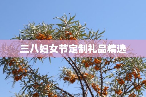 三八妇女节定制礼品精选